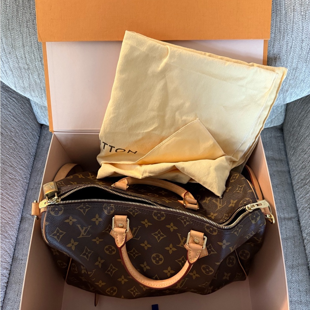 Louis Vuitton Brown and Tan Monogram Handbag